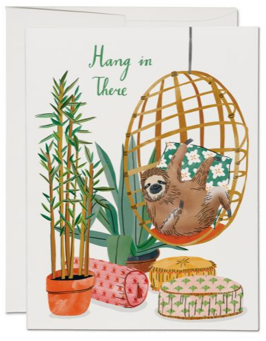 hang in there plant Hang In There Greeting Card – Properly Wrapped